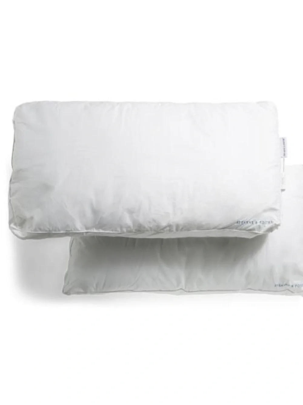 STEARNS & Foster 300tc The Colossal Pillow -2Pk
